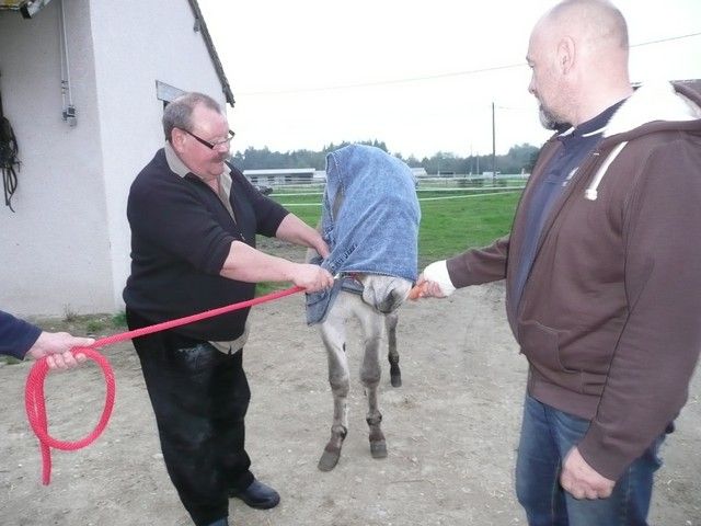 Balthazar et leonard Arrivee (46).jpg